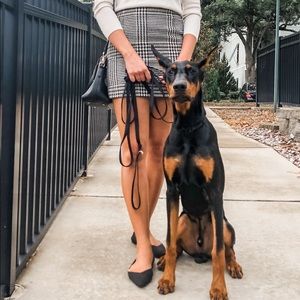 SOLD H&M/J.Crew Tweed Skirt